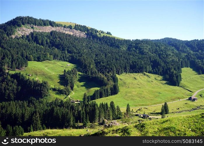 Green valley and mountain range in Switzerland