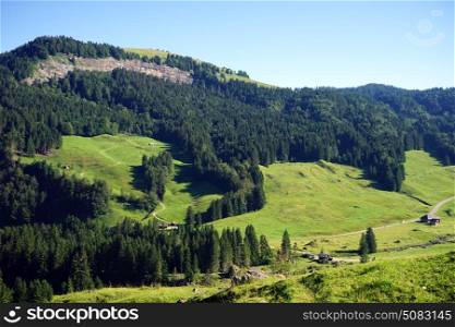 Green valley and mountain range in Switzerland