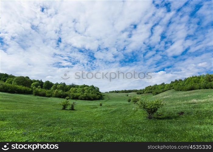Green valley in the countryside