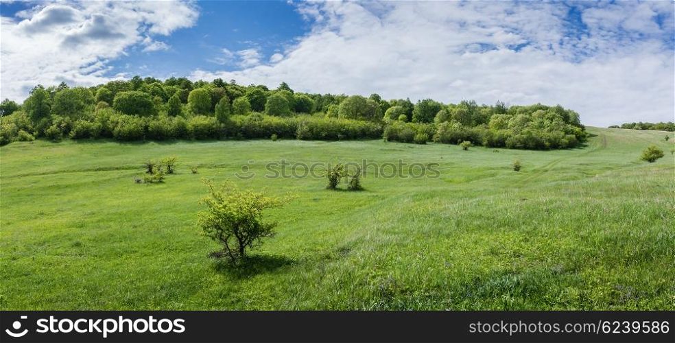 Green valley in the countryside