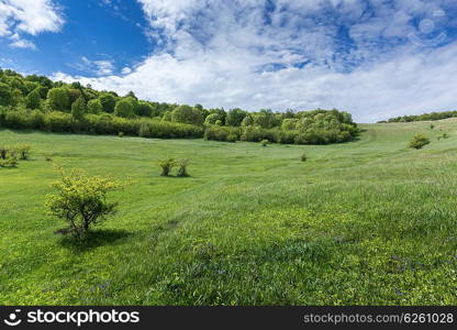 Green valley in the countryside