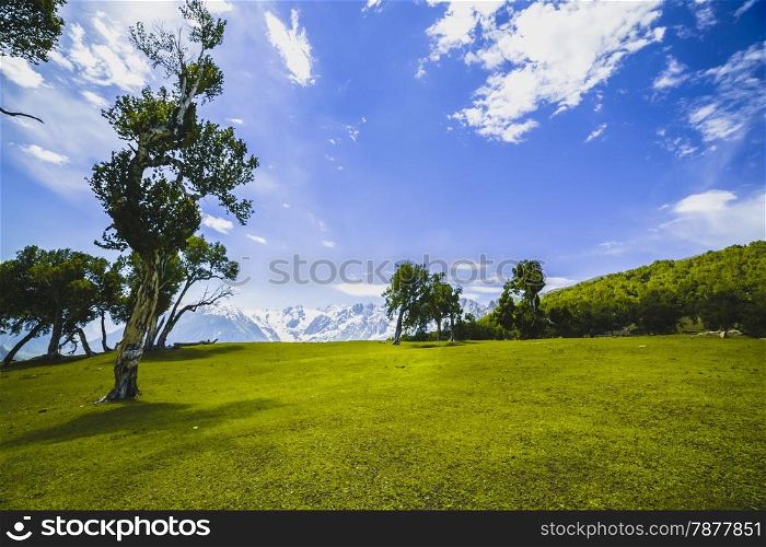 Green Valley with blue sky