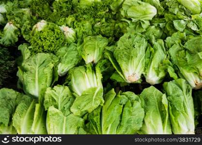green vegetables in market. Green cabbage and lettuce