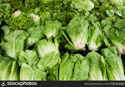 green vegetables in market. Green cabbage and lettuce