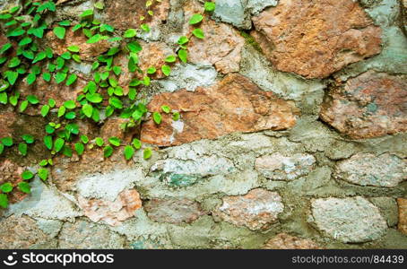 Green Velcro tree on stone wall.