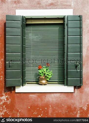 Green venetian windows with flowers. Red wall