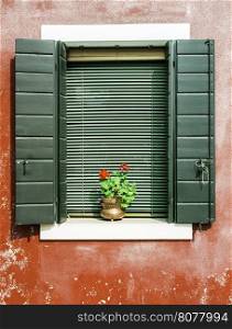 Green venetian windows with flowers. Red wall