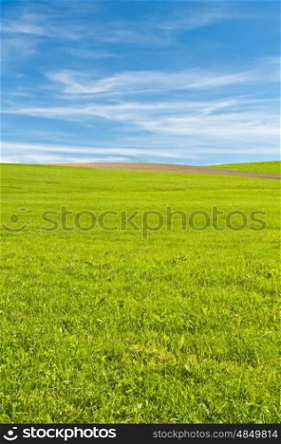 green with small hills. green