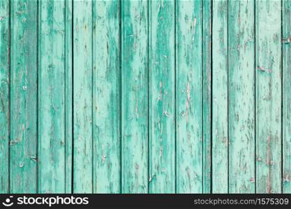 Green wooden background and texture