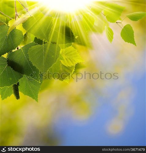 Green world, abstract environmental backgrounds for your design