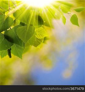 Green world, abstract environmental backgrounds for your design