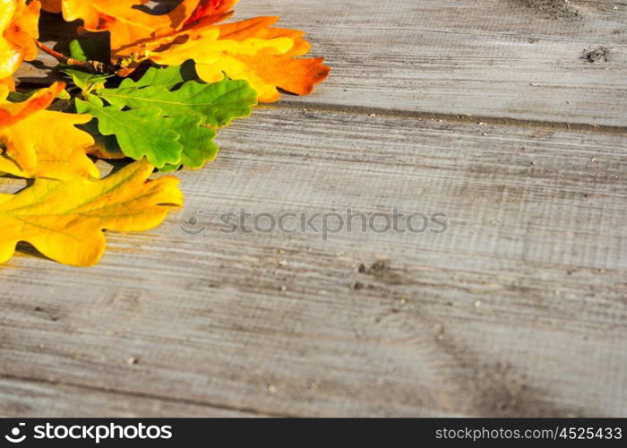 Green, yellow and red autumn leaves on a wooden table.