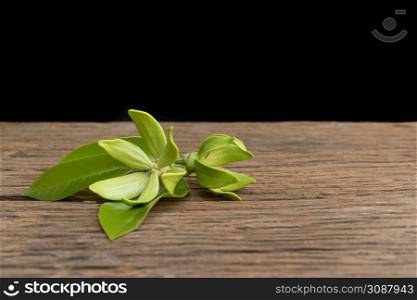 Green ylang-ylang flowers laid on an old wooden floor against a black background.