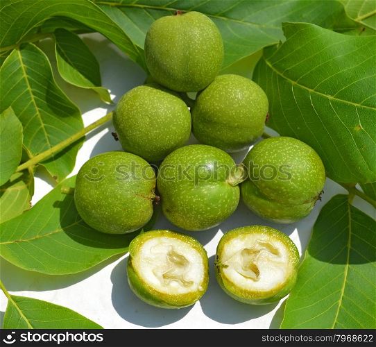 Green young walnuts in husks and leaves