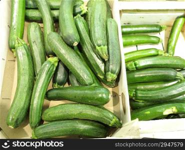 Green zucchini courgette sitting in the supermarket