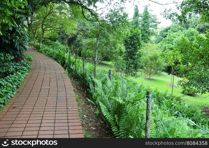 Greenary around Red brick path in Singapore Botanic Garden