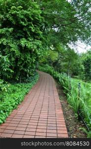 Greenary around Red brick path in Singapore Botanic Garden