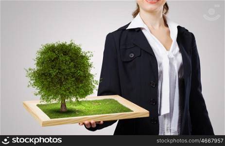 Greenery concept. Close up of businesswoman holding wooden frame with green tree