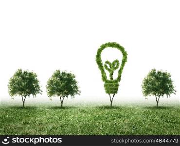 Greenery concept. Conceptual image of green plant. Protect our planet