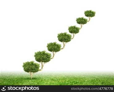 Greenery concept. Conceptual image of green plant shaped like ladder