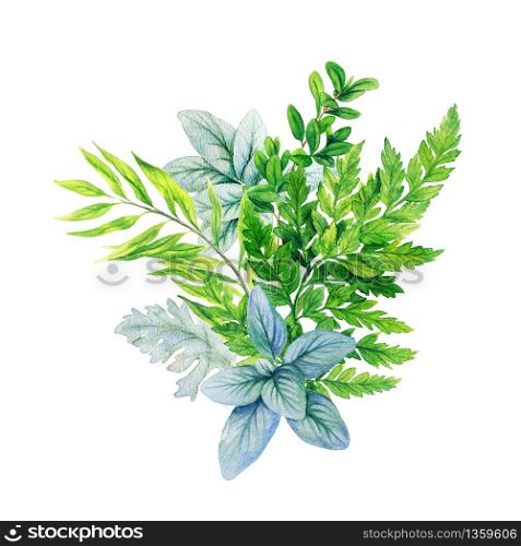 Greenery decorative bouquet, composed of fresh green leaves and ferns. Hand drawn watercolor illustration. Design template.