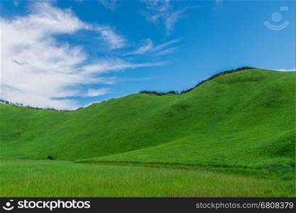 Greengrass against blue sky at Soni plateau,Nara Prefecture,Japan