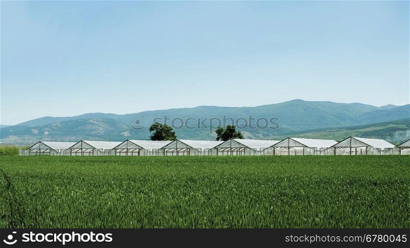 Greenhouse plantation and cultivated land on the foreground