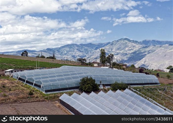 Greenhouses for agriculture production in the Andes in Ecuador