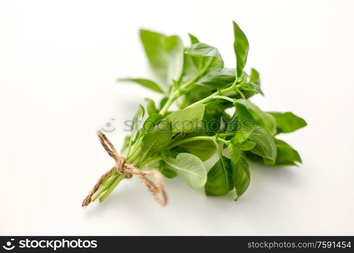 greens, culinary and ethnoscience concept - bunch of basil on white background. bunch of basil on white background