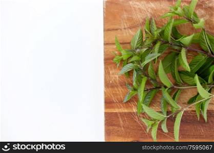 greens, culinary and ethnoscience concept - bunch of fresh peppermint on wooden cutting board. bunch of fresh peppermint on wooden cutting board
