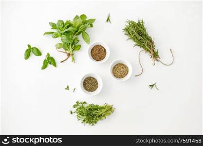 greens, culinary and flavoring concept - fresh basil, rosemary and thyme with dry seasoning in cups on white background. fresh and dry seasoning on white background