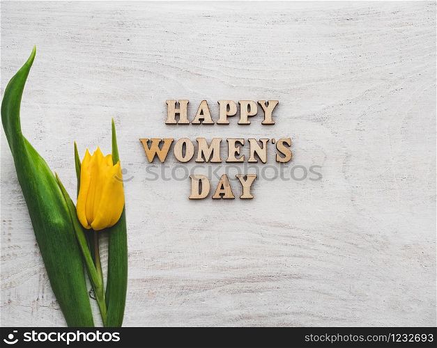 Greeting card for Women&rsquo;s Day. Beautiful, vibrant flowers lying on a white boards. View from above, close-up. Beautiful flowers lying on a white table