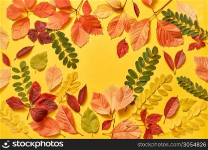 Greeting card from colorful leaves on an yellow background with copy space. Flat lay.. Multicolored leaves greeting autumn frame with soft shadows.