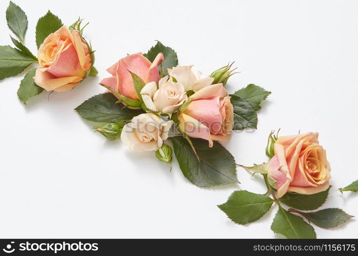 Greeting card from roses flowers with green leaves on a light grey background and copy space. Flat lay. Postcard for Valentine&rsquo;s Day.. Festive blooming background from rose flowers.