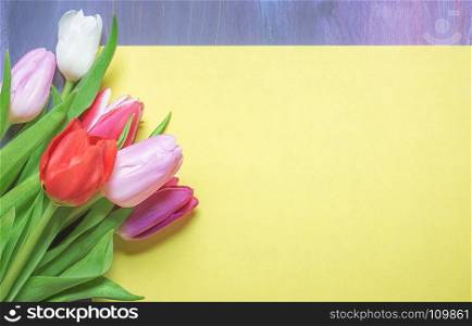 Greeting card idea with a bunch of multicolored tulips placed on a blank yellow paper sheet with place for text, displayed on a purple background.
