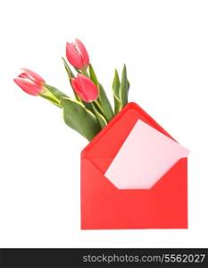 greeting card with pink tulips isolated on white background