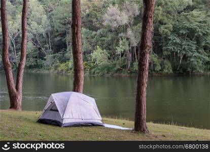 Grey camping tent in pine tree forest near lake at Pang Oung national park in Mae Hong Son, Thailand