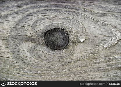 Grey color knot wood background