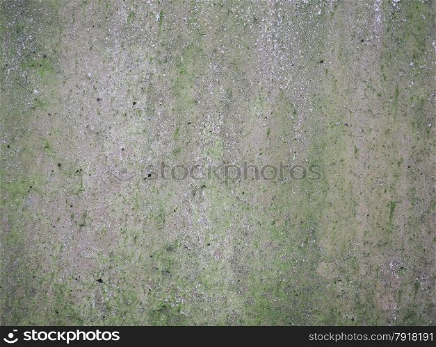 Grey concrete background. Grunge grey concrete texture with green moss useful as a background