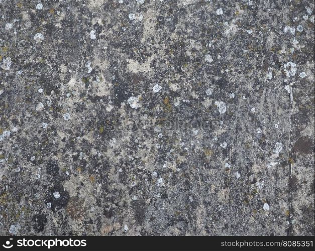 Grey concrete texture background with moss. Moss on grey concrete texture useful as a background