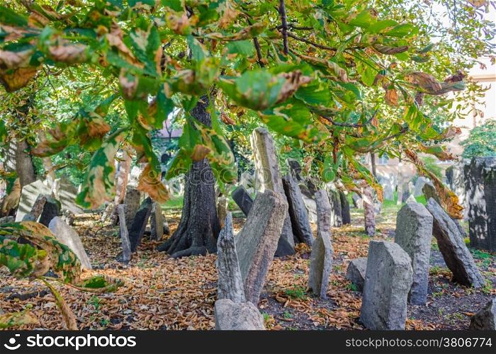 Grey crowded tombstones in the Old Jewish Cemetery in Prague