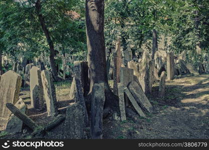 Grey crowded tombstones in the Old Jewish Cemetery in Prague