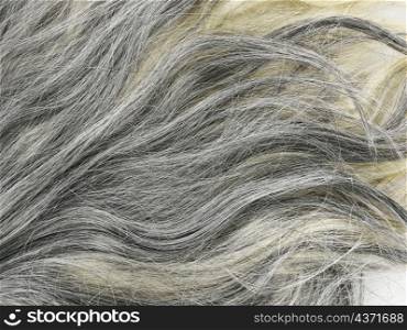 Grey Hair Texture For Background