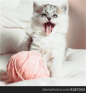 Grey kittens on the white cushion with a pink a ball of yarn