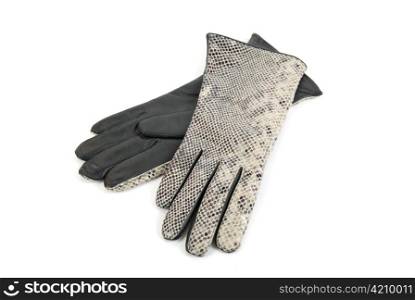 Grey modern reptile female leather gloves isolated on a white