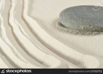 Grey stones on sea sand close up