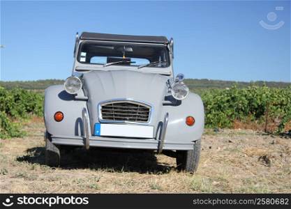 Grey Vintage French car in a vineyard