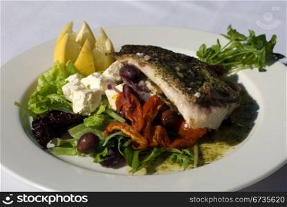 Grilled Barramundi, served with a Greek-style Salad