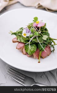 Grilled duck meat with salad on plate