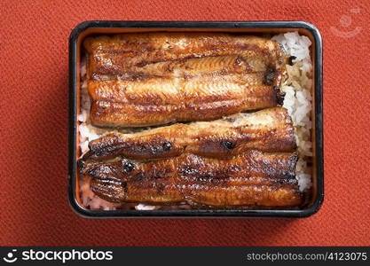 Grilled eel